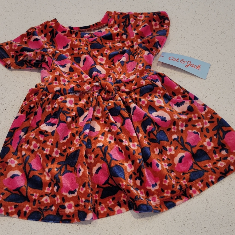 Floral Velour short-sleeved dress 12M